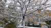Первый снег в Бишкеке