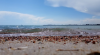Kırgızistan'ın Zirvelerdeki İncisi: Issık Göl