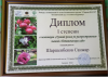 Manaslı Öğrencilerin “Botanik Bahçesi: Kökenlerden Geleceğe” Adlı Yarışmadaki Başarıları